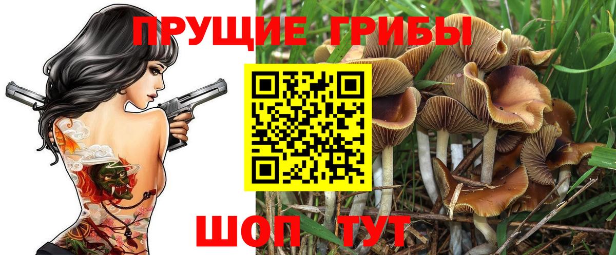 Галлюциногенные грибы мицелий Барнаул